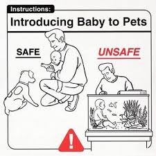 safe babies